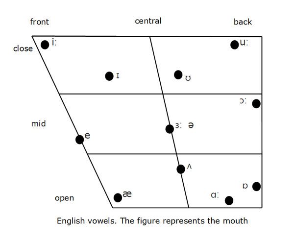 quadrilateral